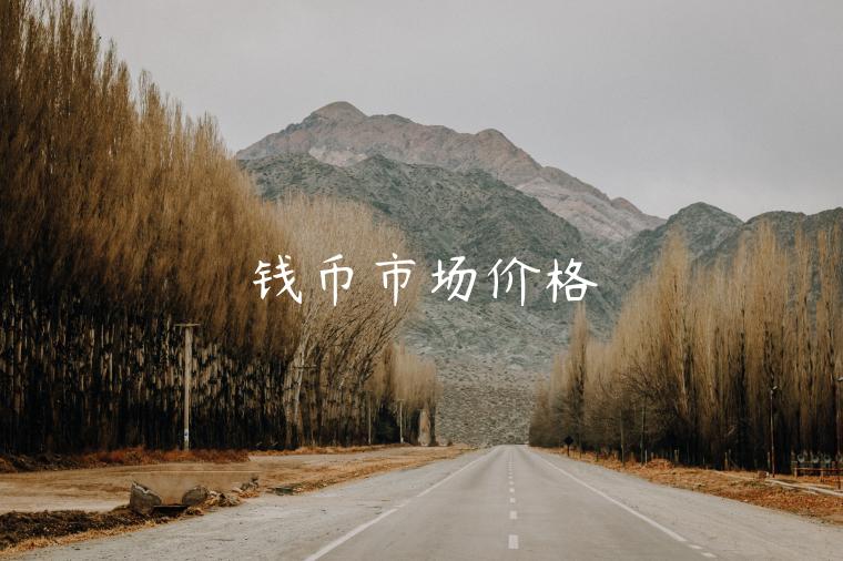 钱币市场价格-第1张图片-binance下载