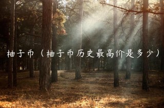 柚子币（柚子币历史最高价是多少）