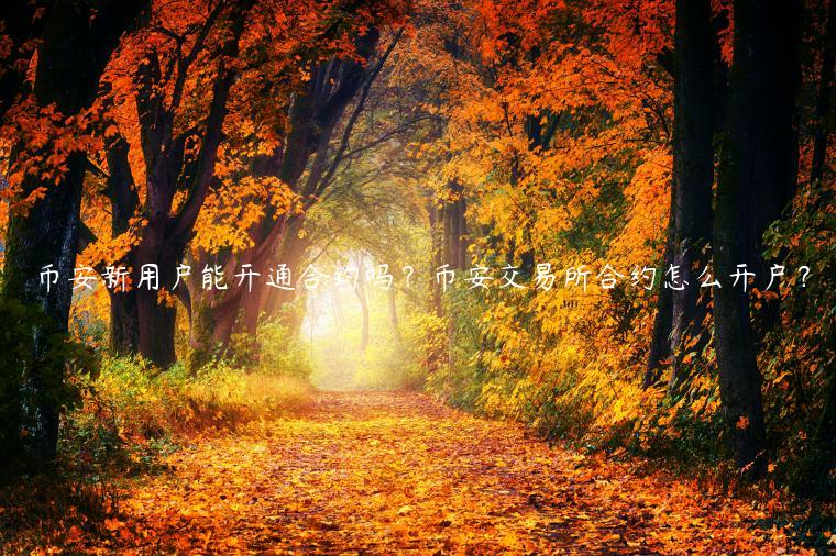 binance新用户能开通合约吗?binance 交易平台合约怎么开户?-第1张图片-binance下载 binance新用户能开通合约吗?binance 交易平台合约怎么开户?-第1张图片-binance下载