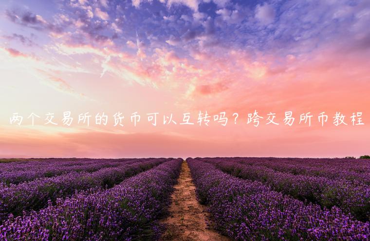 两个 交易平台的货币可以互转吗?跨 交易平台币教程-第1张图片-binance下载 两个 交易平台的货币可以互转吗?跨 交易平台币教程-第1张图片-binance下载