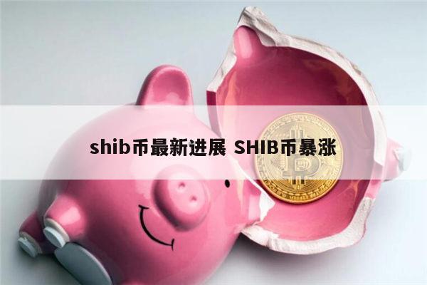 shib币是做什么项目 shib币未来前景-第1张图片-binance下载