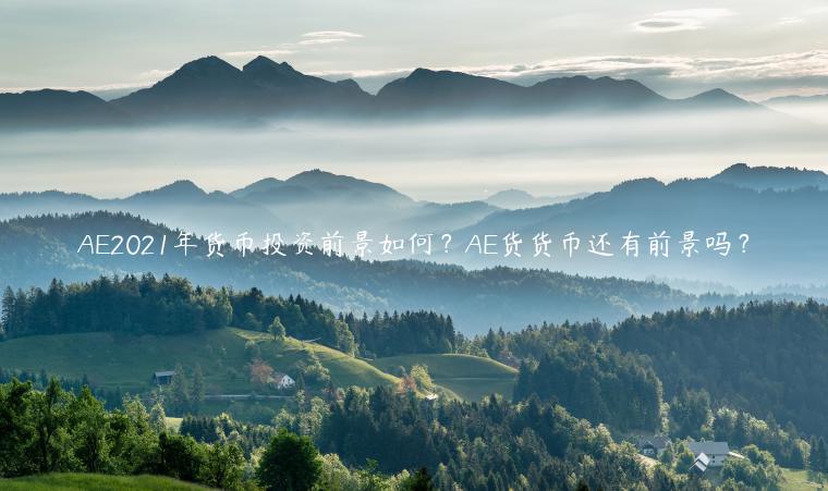 A2021年货币投资前景如何?A货货币还有前景吗?-第1张图片-binance下载 A2021年货币投资前景如何?A货货币还有前景吗?-第1张图片-binance下载