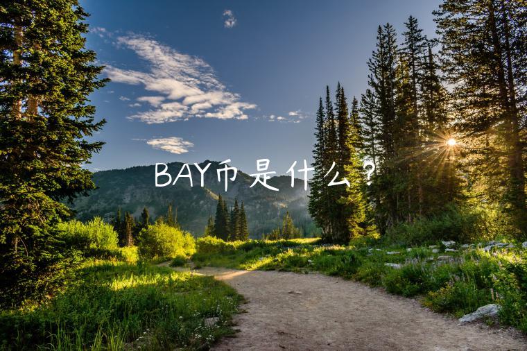 BAY币是什么?-第1张图片-binance下载 BAY币是什么?-第1张图片-binance下载