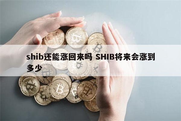 shib还能涨回来吗 屎币能涨到1元吗-第1张图片-binance下载