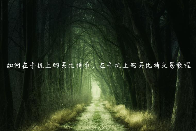 如何在手机上购买比特币,在手机上购买比特交易教程-第1张图片-binance下载 如何在手机上购买比特币,在手机上购买比特交易教程-第1张图片-binance下载