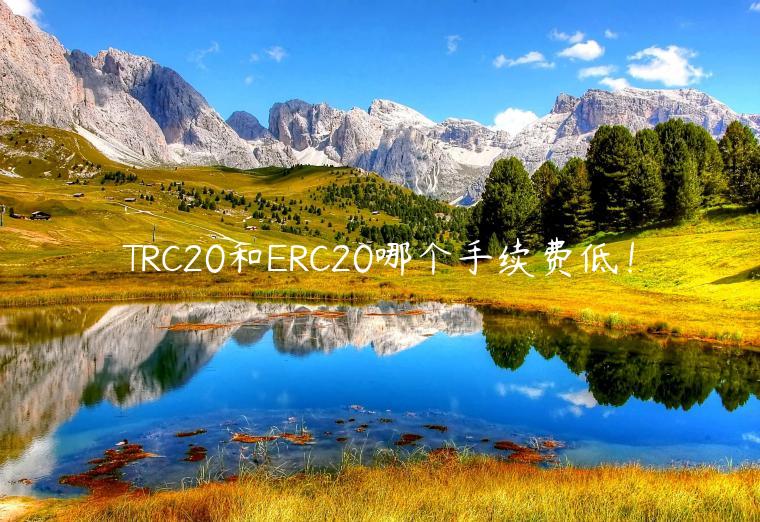 TRC20和RC20哪个手续费低！-第1张图片-binance下载