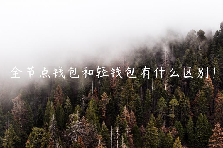 全节点钱包和轻钱包有什么区别!-第1张图片-binance下载 全节点钱包和轻钱包有什么区别!-第1张图片-binance下载