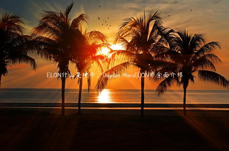 LON什么是硬币,Doglon MarsLON币全面介绍-第1张图片-binance下载 LON什么是硬币,Doglon MarsLON币全面介绍-第1张图片-binance下载