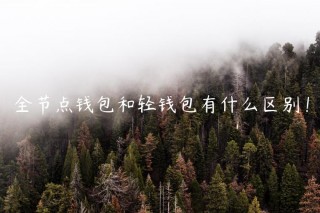 全节点钱包和轻钱包有什么区别！