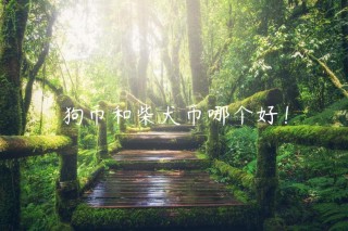 狗币和柴犬币哪个好！