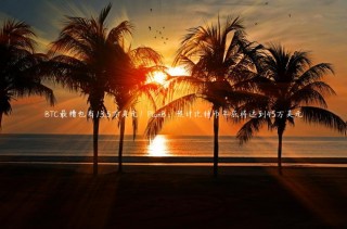 BTC最糟也有13.5万美元！PlanB：预计比特币年底将达到45万美元