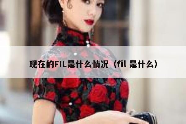 现在的FIL是什么情况(fil 是什么)-第1张图片-binance下载 现在的FIL是什么情况(fil 是什么)-第1张图片-binance下载