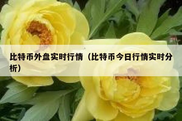比特币外盘实时行情（比特币今日行情实时分析）-第1张图片-binance下载