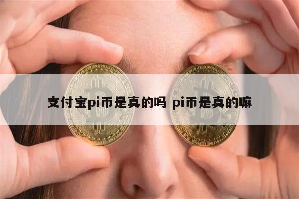 pi币是真的吗 pi币有人投资吗-第1张图片-binance下载 pi币是真的吗 pi币有人投资吗-第1张图片-binance下载