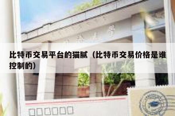 比特币交易平台的猫腻（比特币交易价格是谁控制的）-第1张图片-binance下载