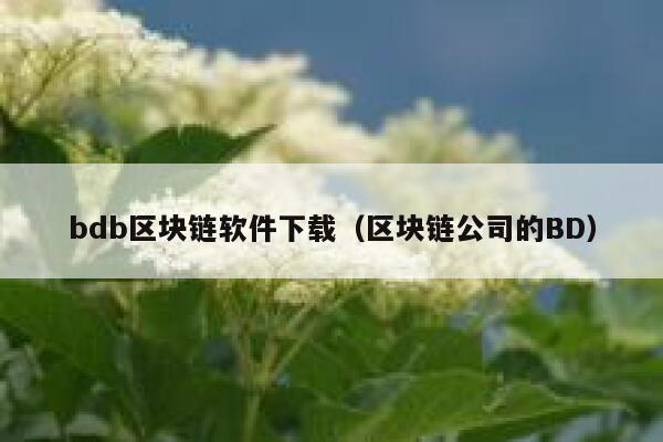 bdb区块链软件下载(区块链公司的BD)-第1张图片-binance下载 bdb区块链软件下载(区块链公司的BD)-第1张图片-binance下载