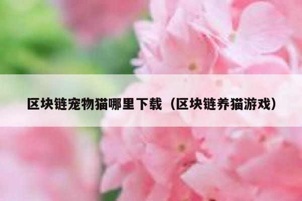 最近听说国外都在弄什么养猫养狗的游戏,是在哪里下载,怎么玩?国内有吗?-第1张图片-binance下载 最近听说国外都在弄什么养猫养狗的游戏,是在哪里下载,怎么玩?国内有吗?-第1张图片-binance下载