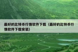 最好的比特币行情软件下载（最好的比特币行情软件下载安装）