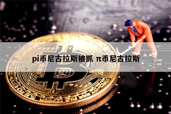 pi币尼古拉斯被抓了吗 pi币主网上线时间-第1张图片-binance下载 pi币尼古拉斯被抓了吗 pi币主网上线时间-第1张图片-binance下载