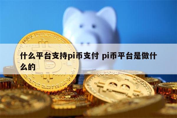 什么平台可以pi币支付 pi币平台是做干嘛的-第1张图片-binance下载