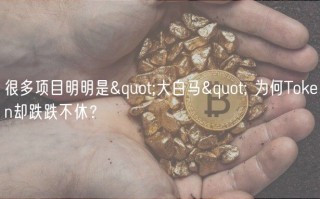很多项目明明是"大白马" 为何Token却跌跌不休？
