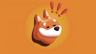 Bonk币是什么 为什么Bonk币最近爆火