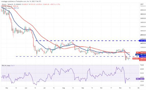比特币今日最新价格 BTC最新行情分析资讯-第2张图片-binance下载 比特币今日最新价格 BTC最新行情分析资讯-第2张图片-binance下载