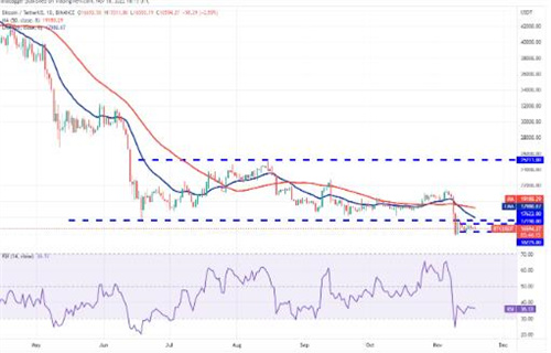 比特币价格今日行情 比特币今日最新消息-第2张图片-binance下载 比特币价格今日行情 比特币今日最新消息-第2张图片-binance下载