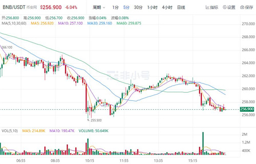 binance币最新价格 binance币今日最新行情消息-第1张图片-binance下载