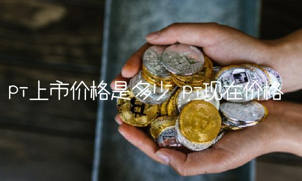 pi上市价格是多少-第1张图片-binance下载
