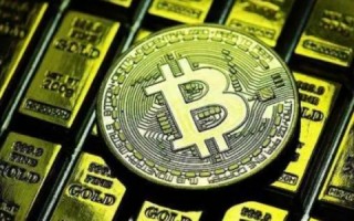 屎币历史价格表(屎币历史最高价)