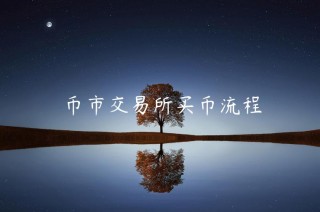 币市 交易平台买币流程