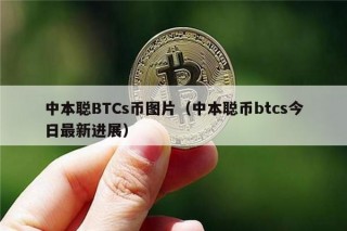 中本聪BTCs币图片（中本聪币btcs今日最新进展）
