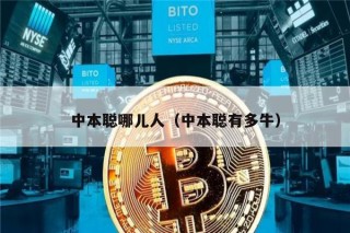 中本聪哪儿人（中本聪有多牛）