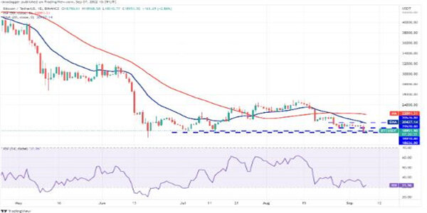 2022价格分析:BTC、ETH、BNB、XRP、ADA、SOL、DOGE、DOT、MATIC、SHIB-第2张图片-欧意易易下载 2022价格分析:BTC、ETH、BNB、XRP、ADA、SOL、DOGE、DOT、MATIC、SHIB-第2张图片-欧意易易下载
