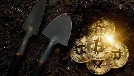 shib币今天价格(shib币今日的价格行情)-第1张图片-欧意易易下载 shib币今天价格(shib币今日的价格行情)-第1张图片-欧意易易下载