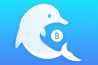 比特币海豚是多少个比特币啊,比特币海豚是多少个比特的