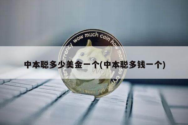 中本聪多少美金一个(中本聪多钱一个)-第1张图片-欧意易易下载