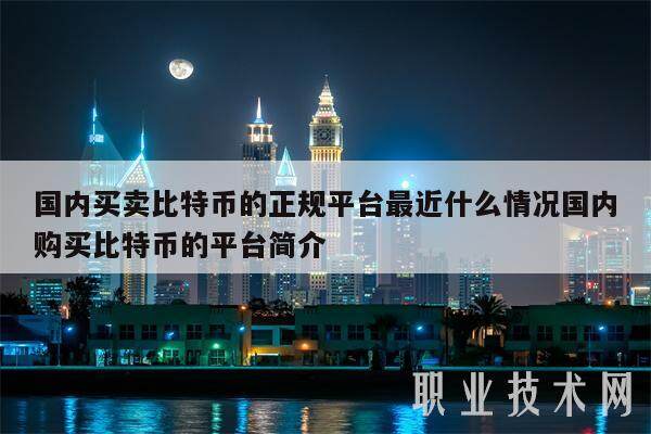 国内买卖比特币的正规平台最近什么情况国内购买比特币的平台简介-第1张图片-欧意易易下载