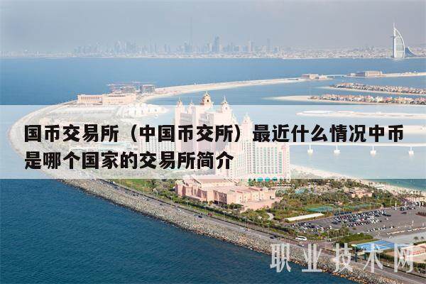 国币交易所（中国币交所）最近什么情况中币是哪个国家的交易所简介-第1张图片-欧意易易下载