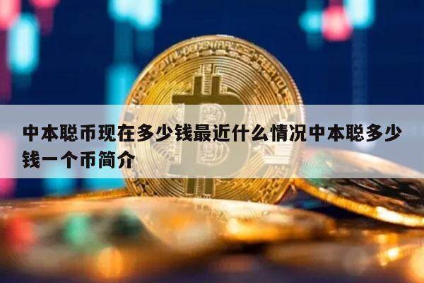 中本聪币现在多少钱最近什么情况中本聪多少钱一个币简介-第1张图片-欧意易易下载