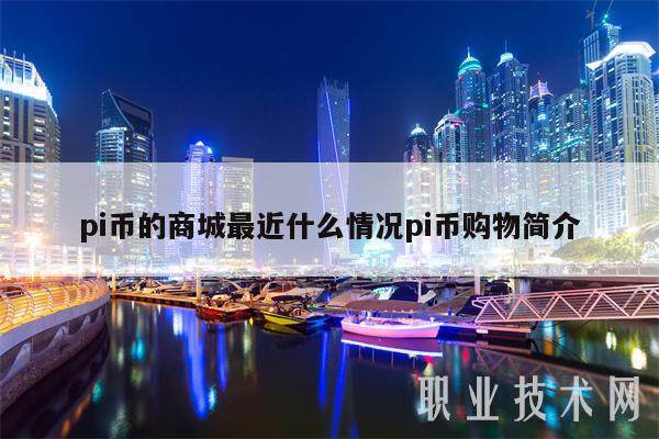 pi币的商城最近什么情况pi币购物简介-第1张图片-欧意易易下载