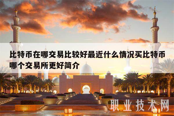 比特币在哪交易比较好最近什么情况买比特币哪个交易所更好简介-第1张图片-欧意易易下载