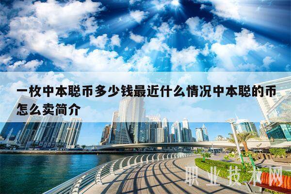 一枚中本聪币多少钱最近什么情况中本聪的币怎么卖简介-第1张图片-欧意易易下载