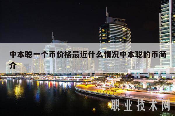中本聪一个币价格最近什么情况中本聪的币简介-第1张图片-欧意易易下载