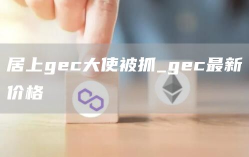 居上gc大使被抓_gc最新价格