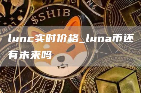 lunc实时价格_luna币还有未来吗
