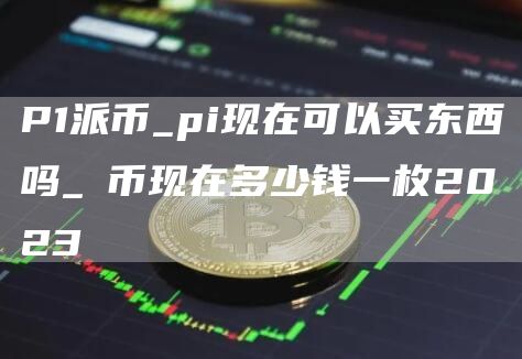 P1派币_pi现在可以买东西吗_π币现在多少钱一枚2023
