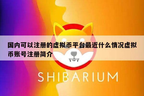 国内可以注册的虚拟币平台最近什么情况虚拟币账号注册简介-第1张图片-欧意易易下载
