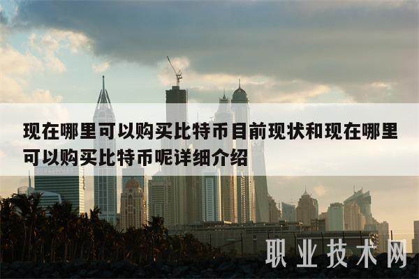 现在哪里可以购买比特币目前现状和现在哪里可以购买比特币呢详细介绍-第1张图片-欧意易易下载
